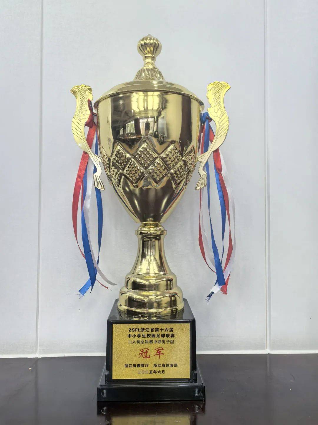 包含足球运动员个人荣誉赛事,屡获殊荣的词条 包含足球运动员个人荣誉赛事,屡获殊荣的词条