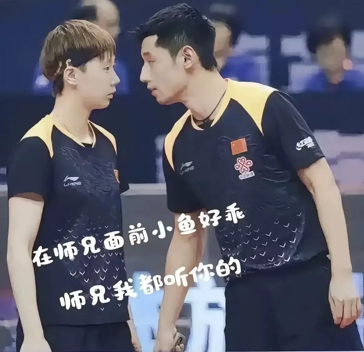 韩国队力克波兰队,张继科带队取胜 韩国队力克波兰队,张继科带队取胜