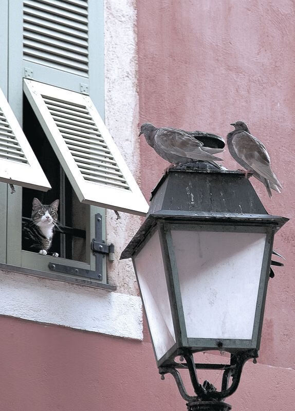 压哨奇迹!卡塞米罗连击致胜,西班牙险胜喀麦隆