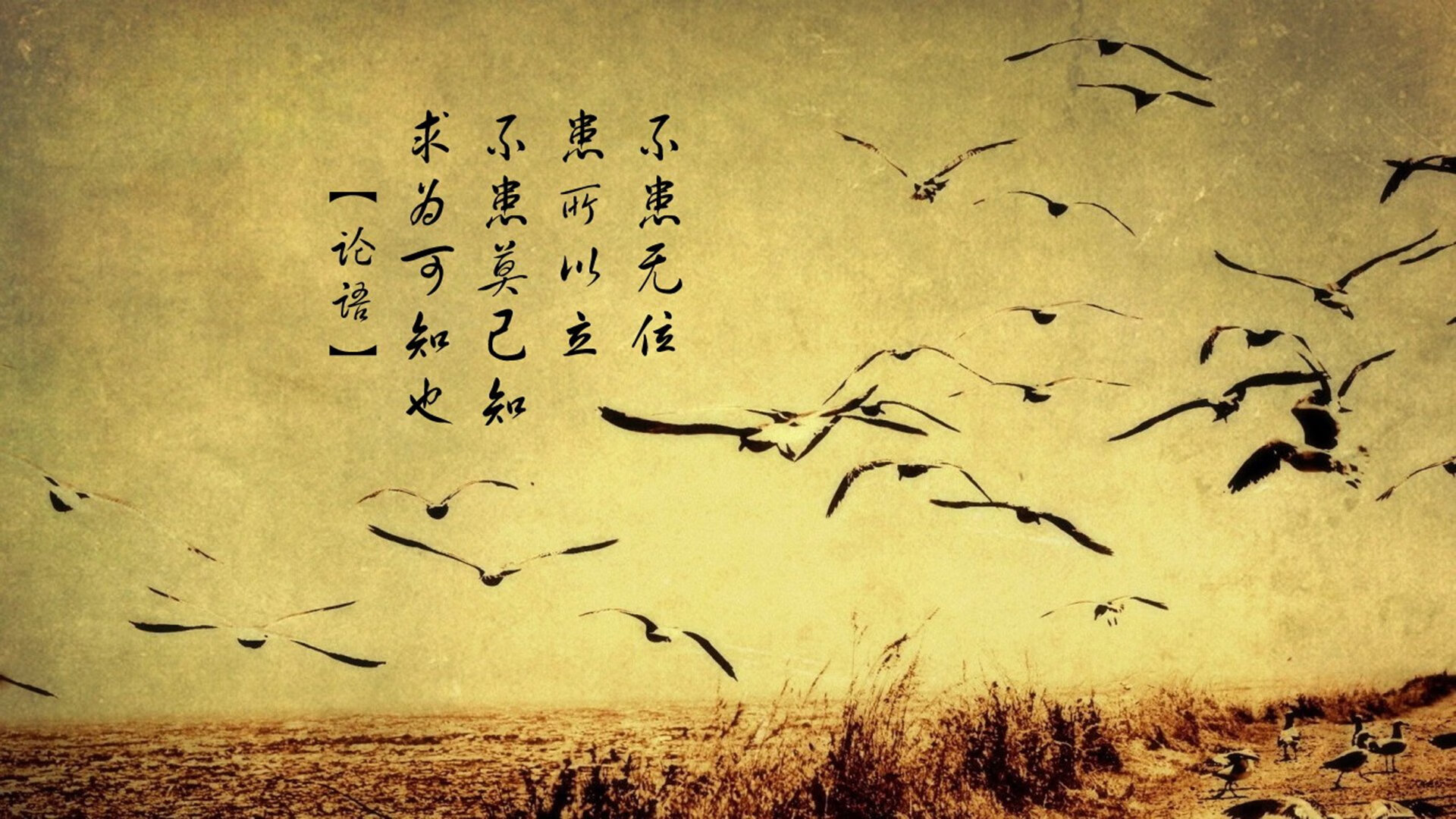 篮球世界的交错,北京队淘汰活塞,德罗赞德甲争冠战接管比赛