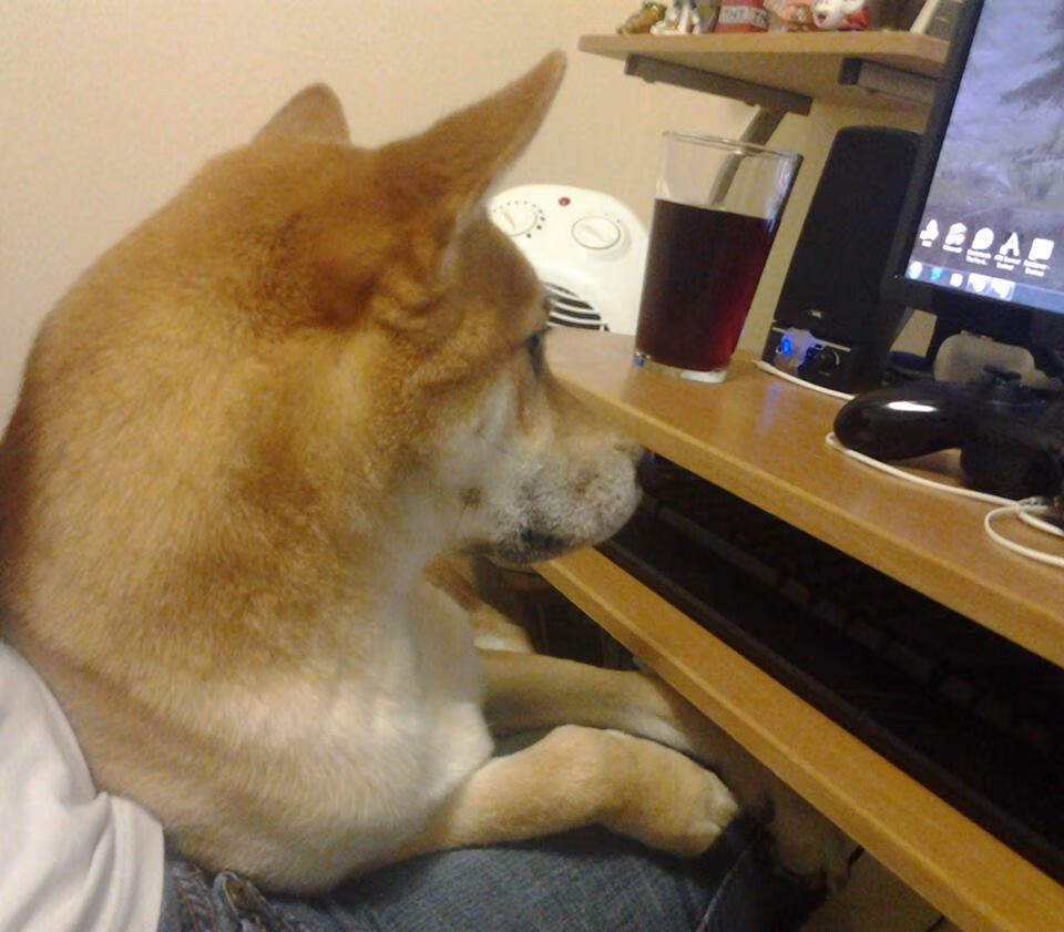 开云下载-无神论者的神迹，当贝林厄姆在希腊对阵勒沃库森时，重新定义神的降临