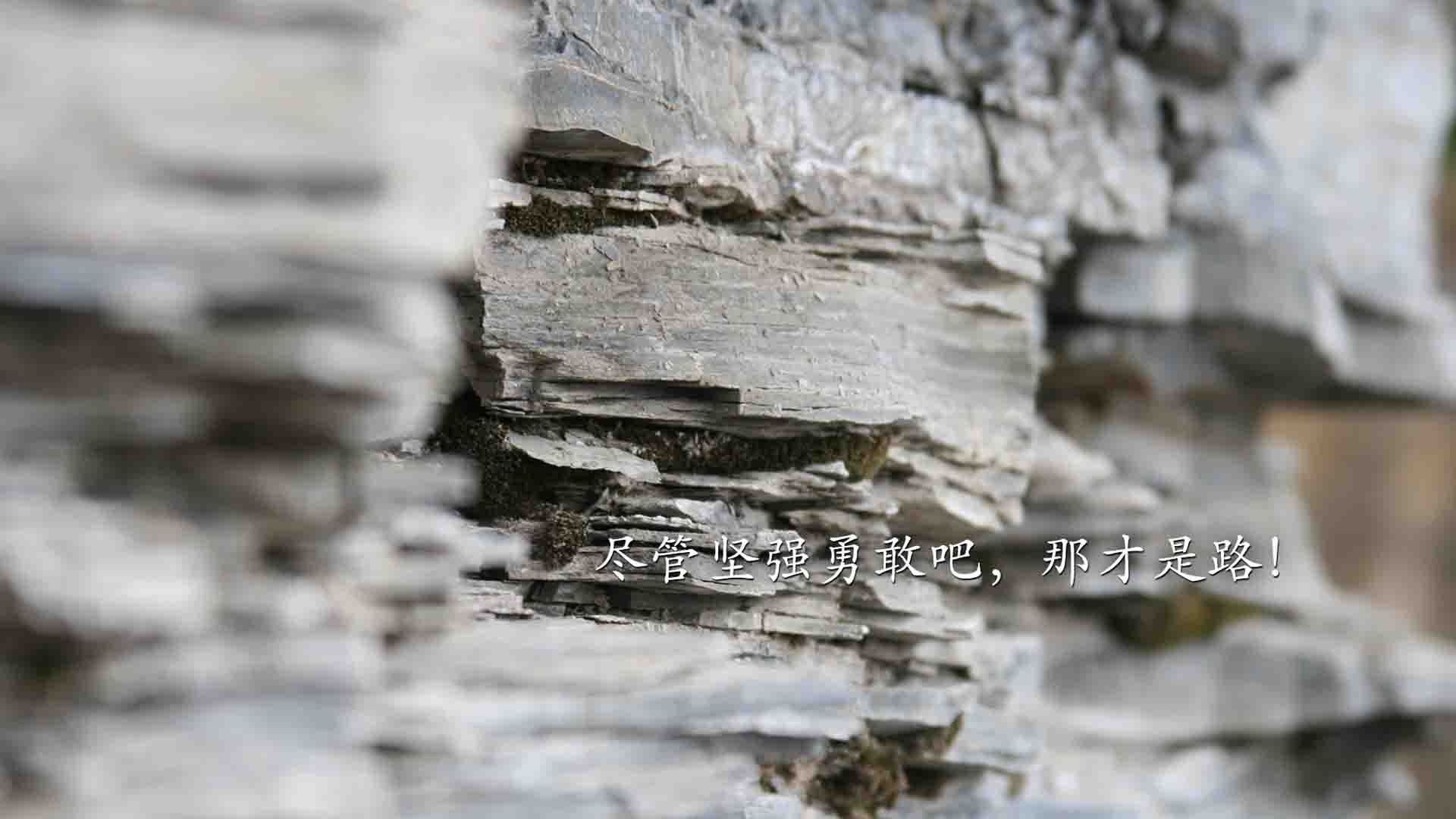 小城炬火，当步行者的团队之光熄灭独行侠的孤星