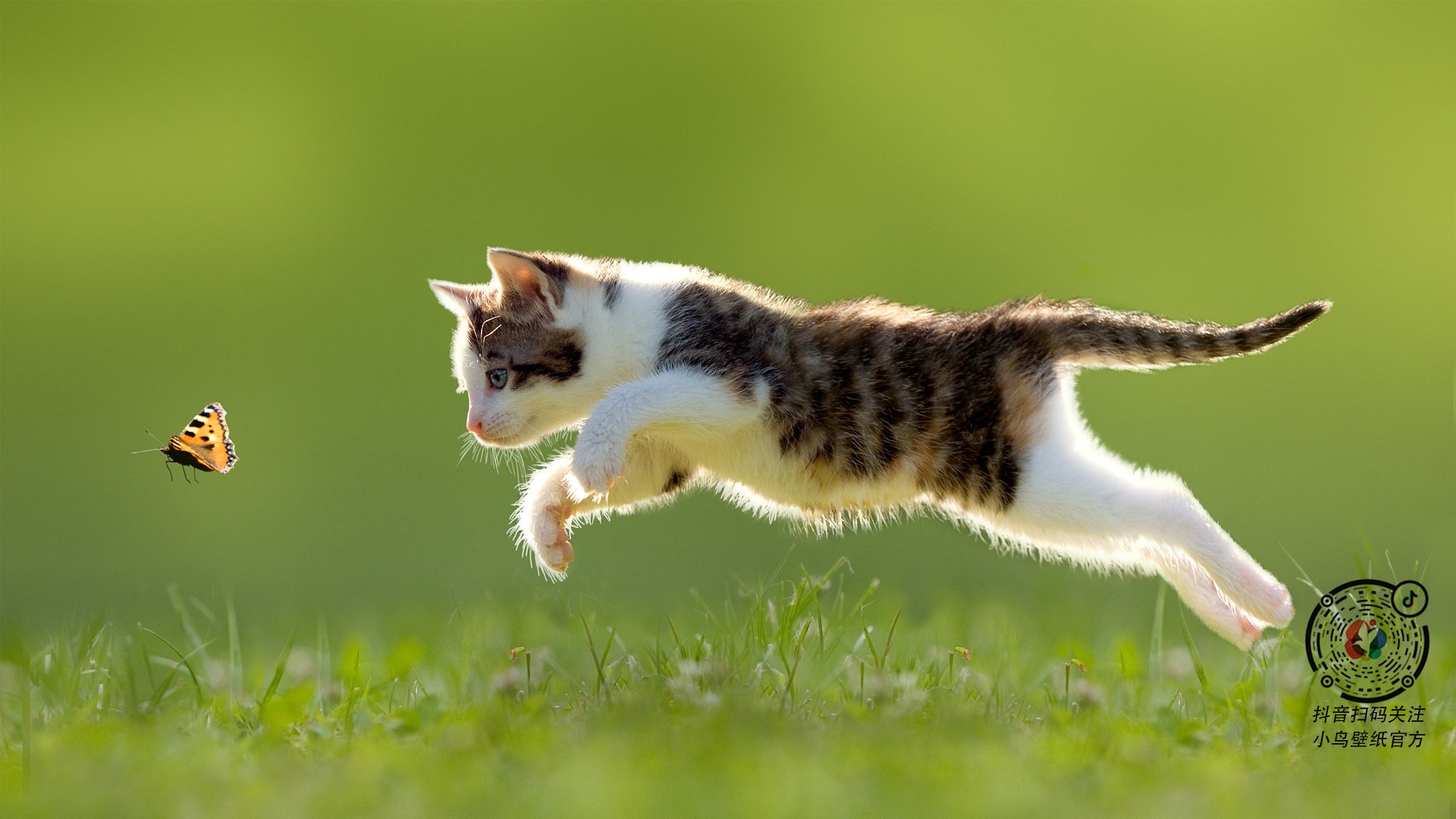 开云体育入口-穆勒审判日,当拜仁利刃出鞘,阿根廷绝境逢走