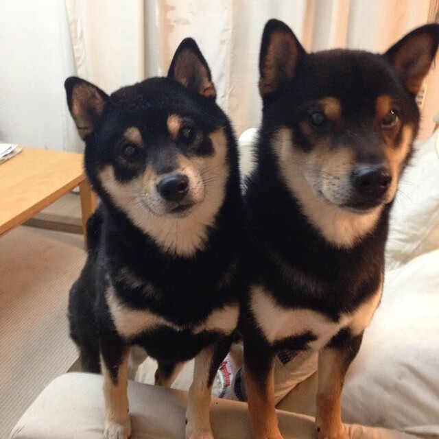 风暴之眼与那道划破黑暗的刀光，记三笘薰的东决封神之夜