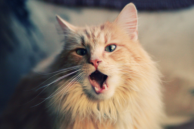 开云体育APP下载-爵士逆转活塞,一场改写历史的唯一胜利