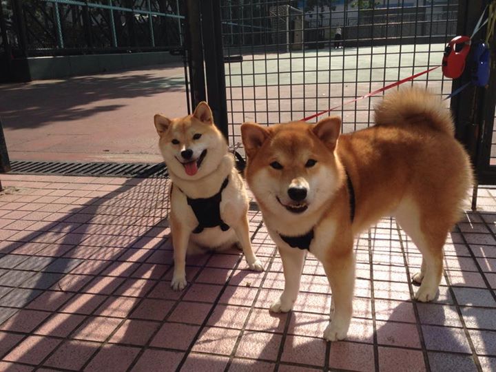 开云体育官网-平行宇宙的班凯罗,关键先生降临,独行侠淘汰快船的奇幻剧本