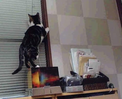 开云下载-孤星照冰原,德罗赞神话之夜,点燃世界排名争夺战的终极烽火