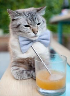 开云体育官网-当希腊诸神在非洲草原倒下,规则颠覆者如何重写足球圣经