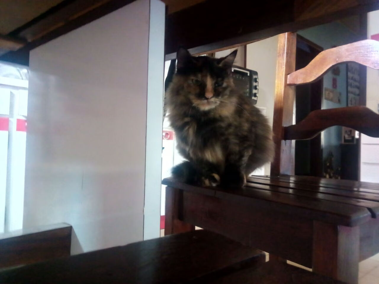 开云-节奏大师与秩序粉碎者，当德里赫特的掌控力遇见阿尔及利亚的破局战