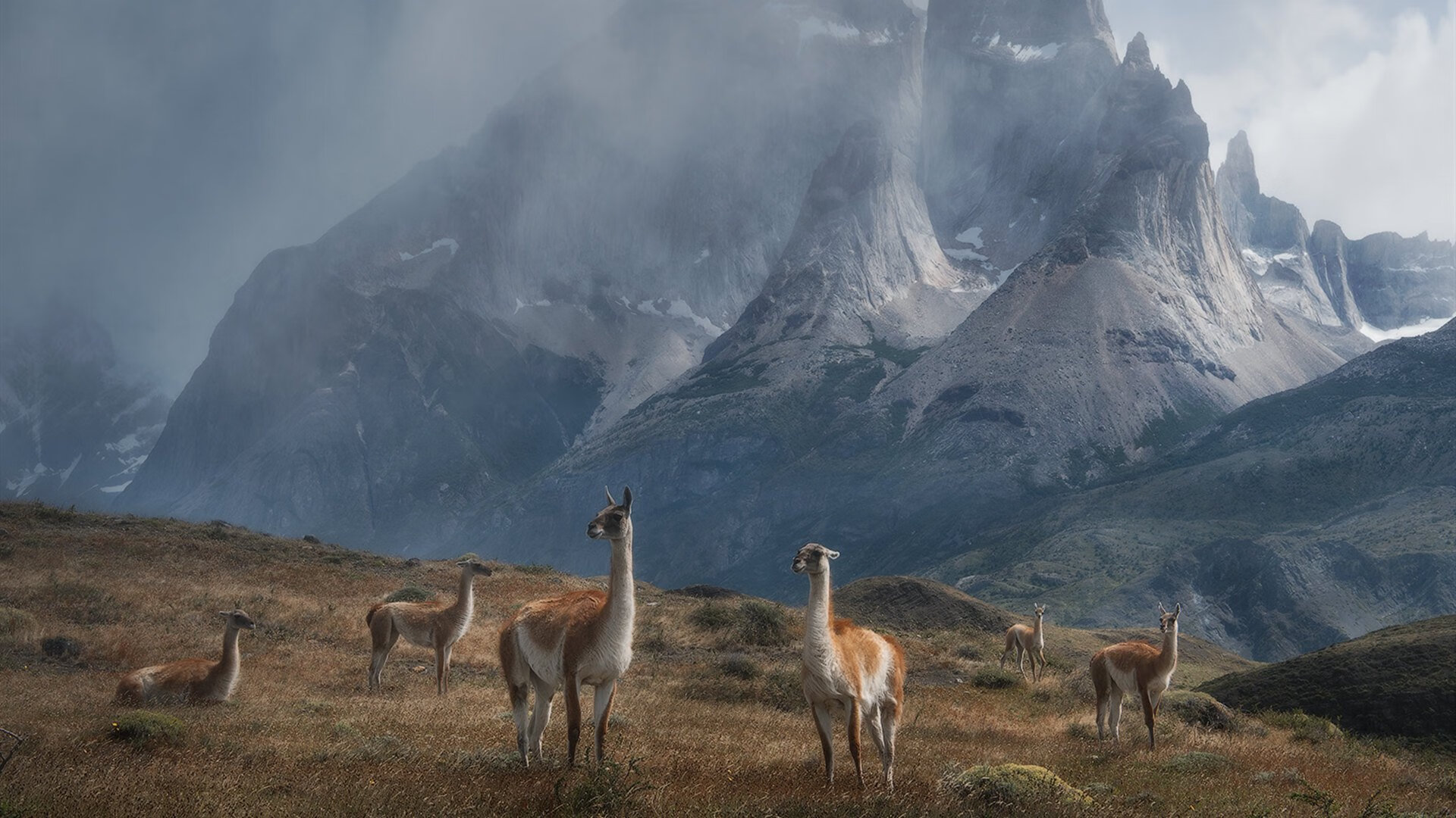 唯一之夜,F1冠军决战与塔图姆的无争议荣耀