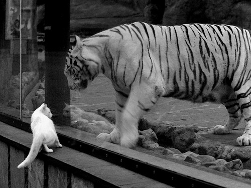 开云平台-他不是唯一的神，但这场胜利唯一
