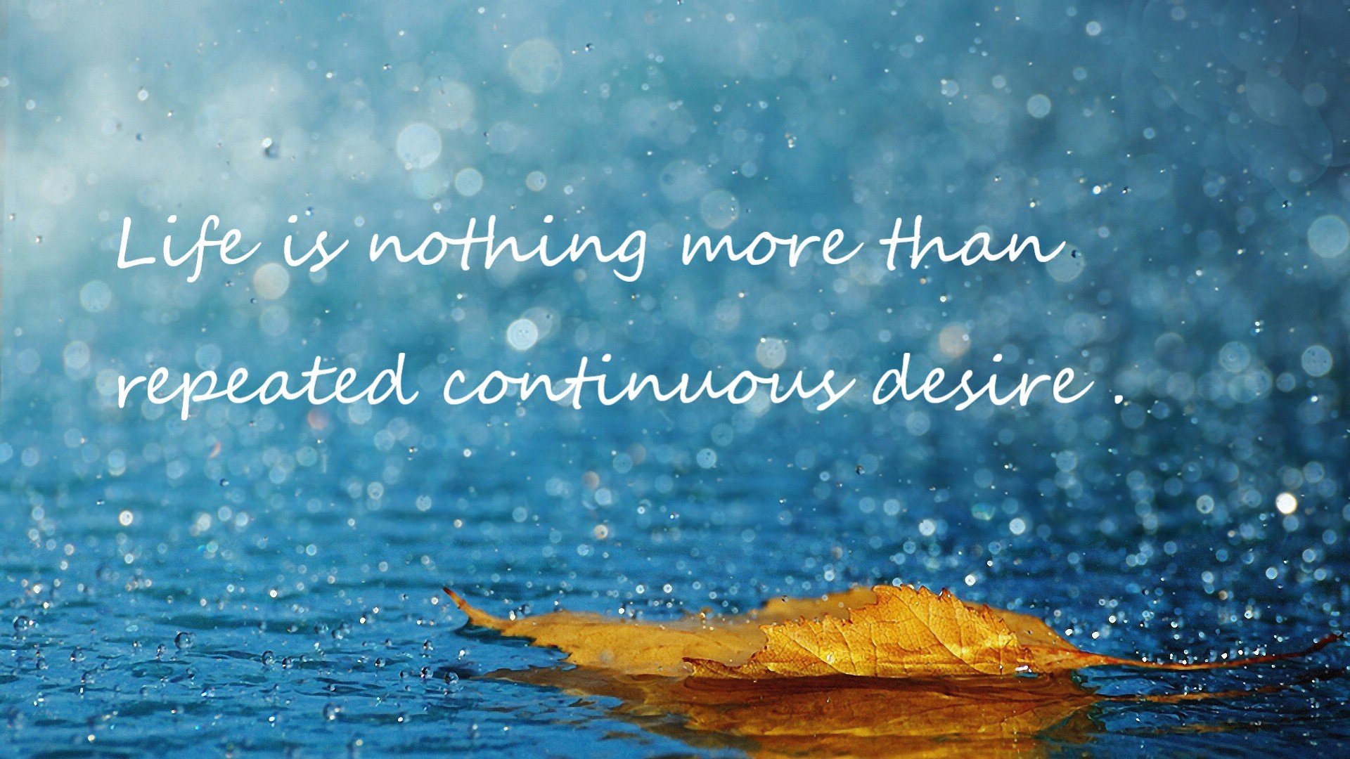 开云体育平台APP-公牛角斗士，战术铁笼窒息快船，末节皇帝接管世界排名生死战