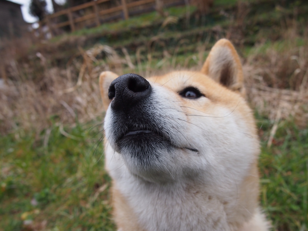 开云体育中国-钢铁骑士封锁孤城，天降巨人破晓—文班亚马的破局者之夜