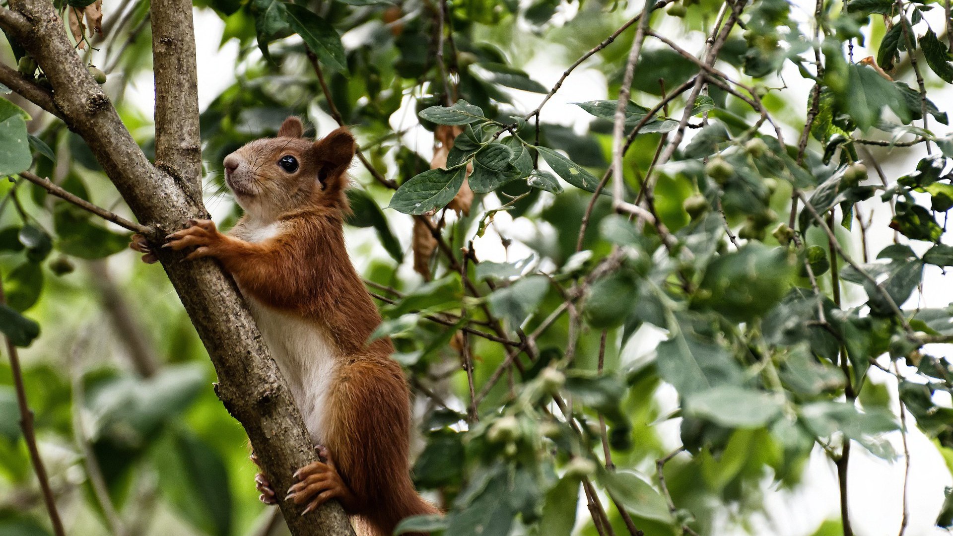开云体育-斯通斯引领节奏革命，塞内加尔3-0横扫瑞典展露獠牙