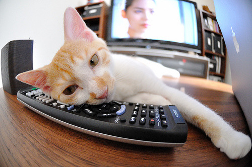 霍勒迪，夜战之王，在都市霓虹的刀锋上独舞