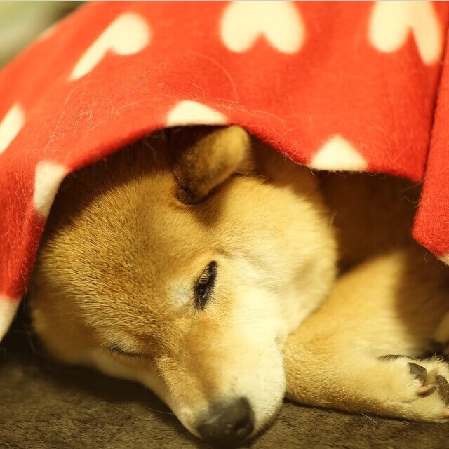 艺术防守铸就德比唯一性，孔德如何以完美表现定义国家德比之夜