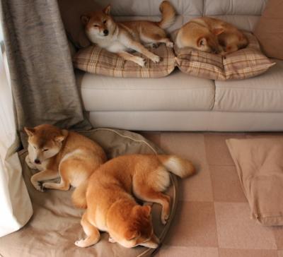 开云平台-跨界星光夜，贝蒂斯轻取皇家社会，门迪于NBA总决赛接管比赛