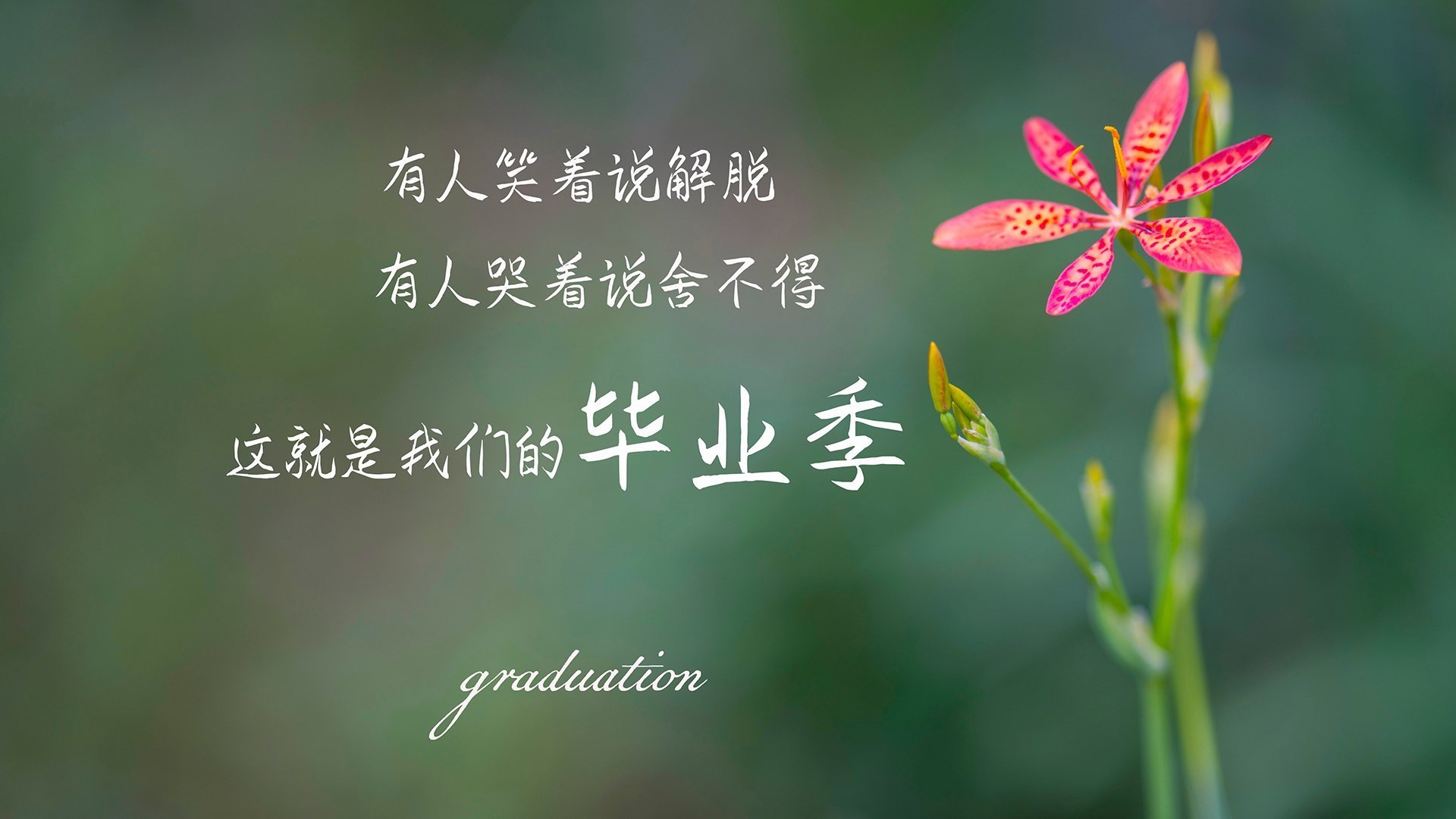开云体育登录-当魔术不再变幻,一场无法复制的节奏克隆之战
