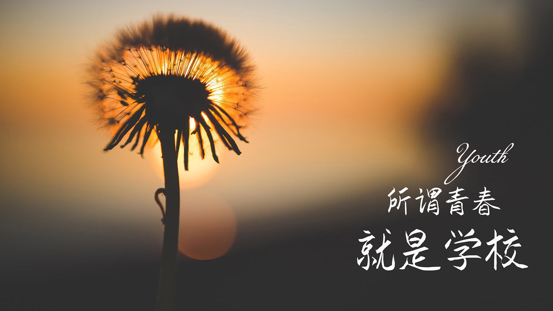 孤独的北极光，阿方索·戴维斯如何用一场完美风暴，照亮2026世界杯A组的暗夜