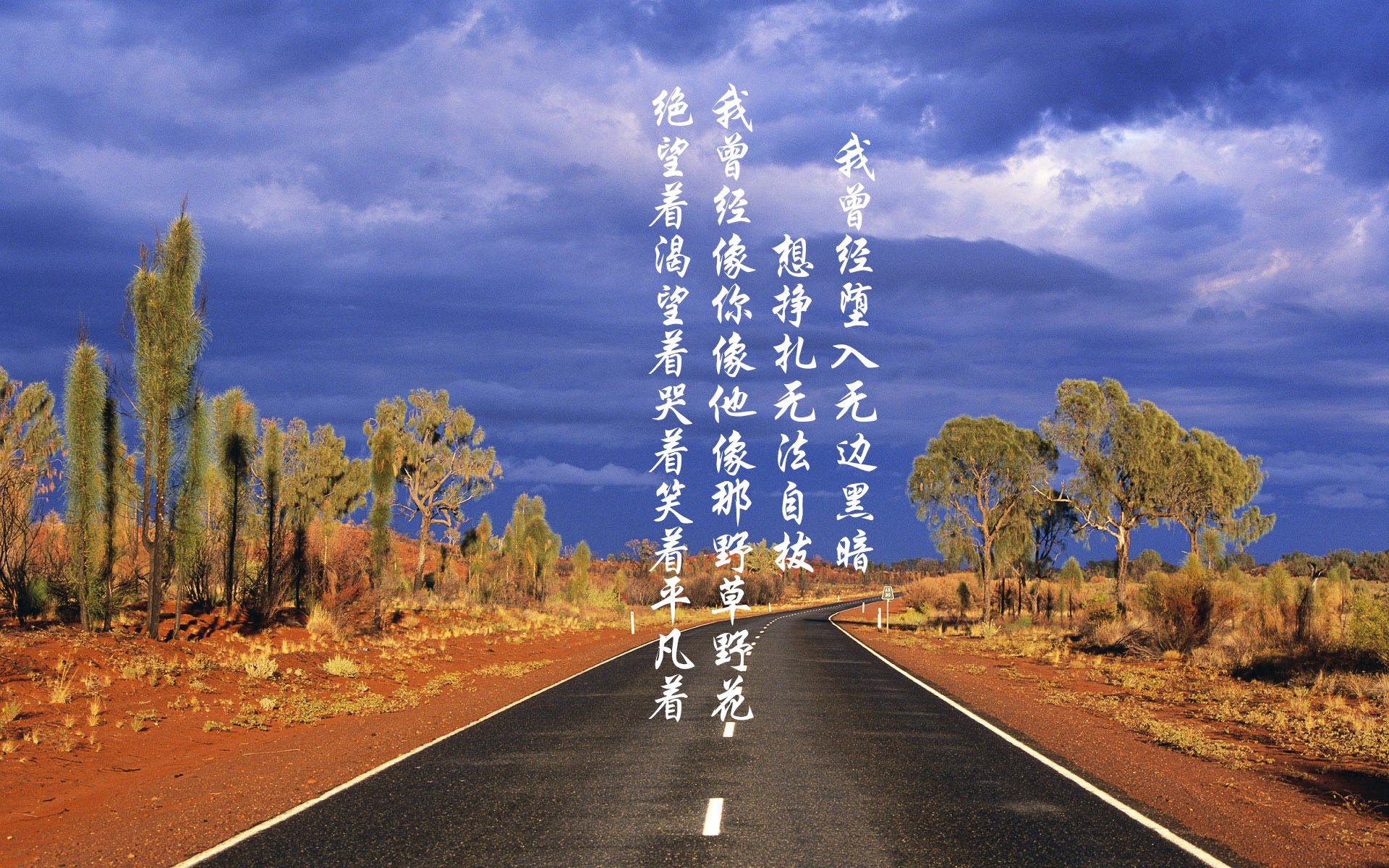 开云官网-唯一的路,2026世界杯生死战,沙特爆冷击败加纳,拉什福德以铁血防守带队绝境突围