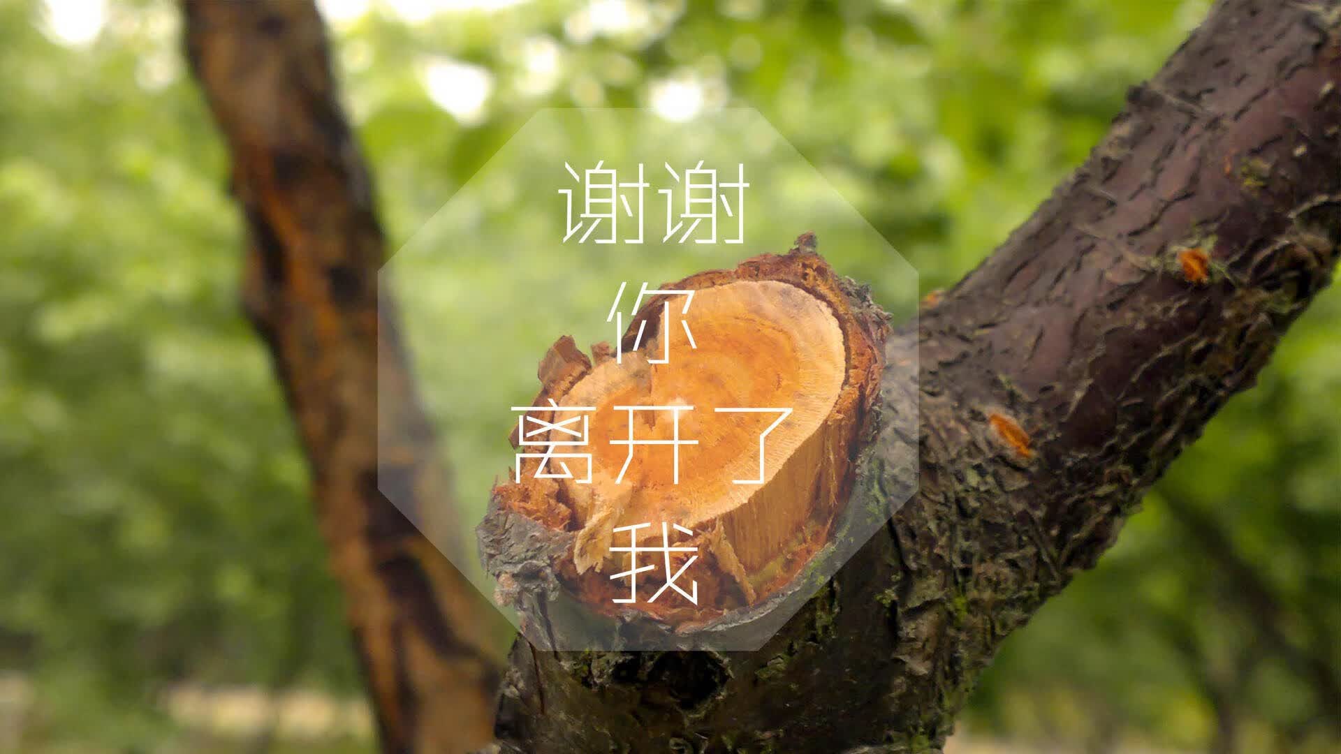 开云体育入口-2026,秘鲁的盛夏奇迹,当格列兹曼在美洲高原上点燃世界